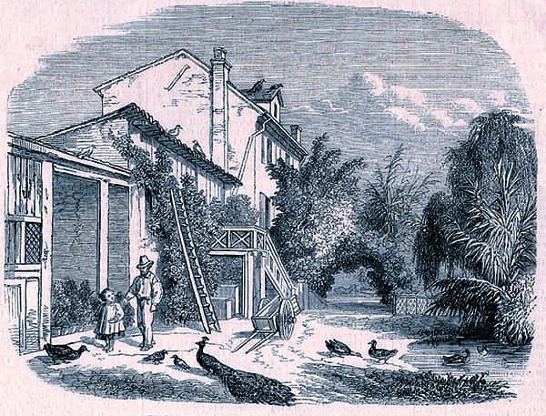 Titre : Établissement horticole d’Alphonse Karr à Nice.- Jacques Guiaud