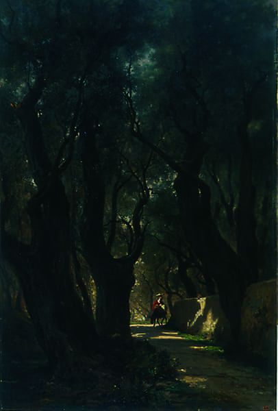 Bois d’oliviers, environs de Nice.