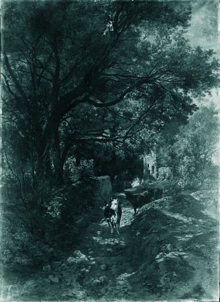 Sous-bois en Bretagne, un chemin creux à Bannalec.