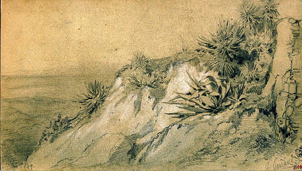 Titre : Nice, étude.- Jacques Guiaud