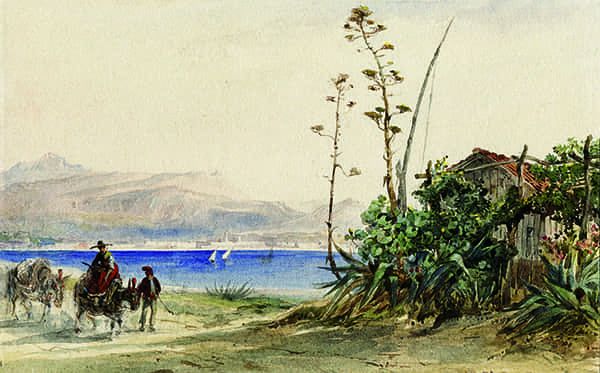 Titre : Vue de Nice depuis Sainte-Hélène.- Jacques Guiaud