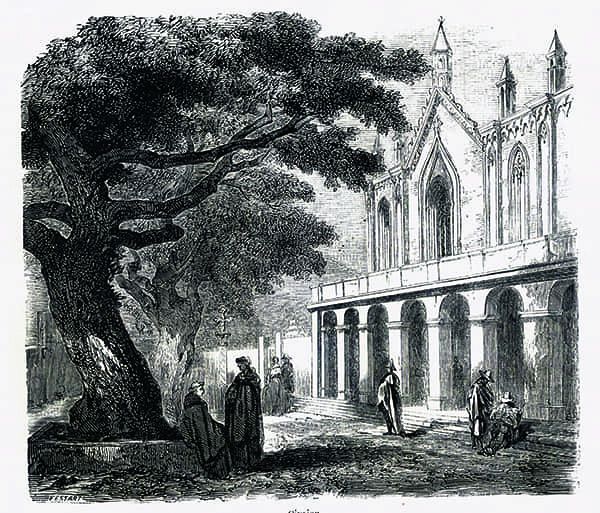 Titre : Cimiez.- Jacques Guiaud